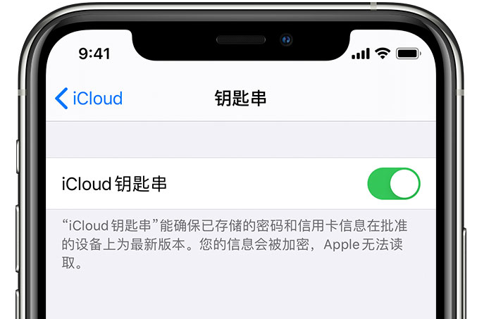 鼓楼苹果手机维修分享在 iPhone 上开启 iCloud 钥匙串之后会储存哪些信息 